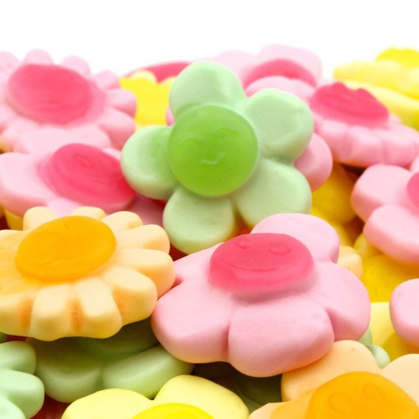 AliFloc Cereali Fiori E Frutta 1 Kg - Miscela Naturale Per Animali Con Vitamina E - Foto 9