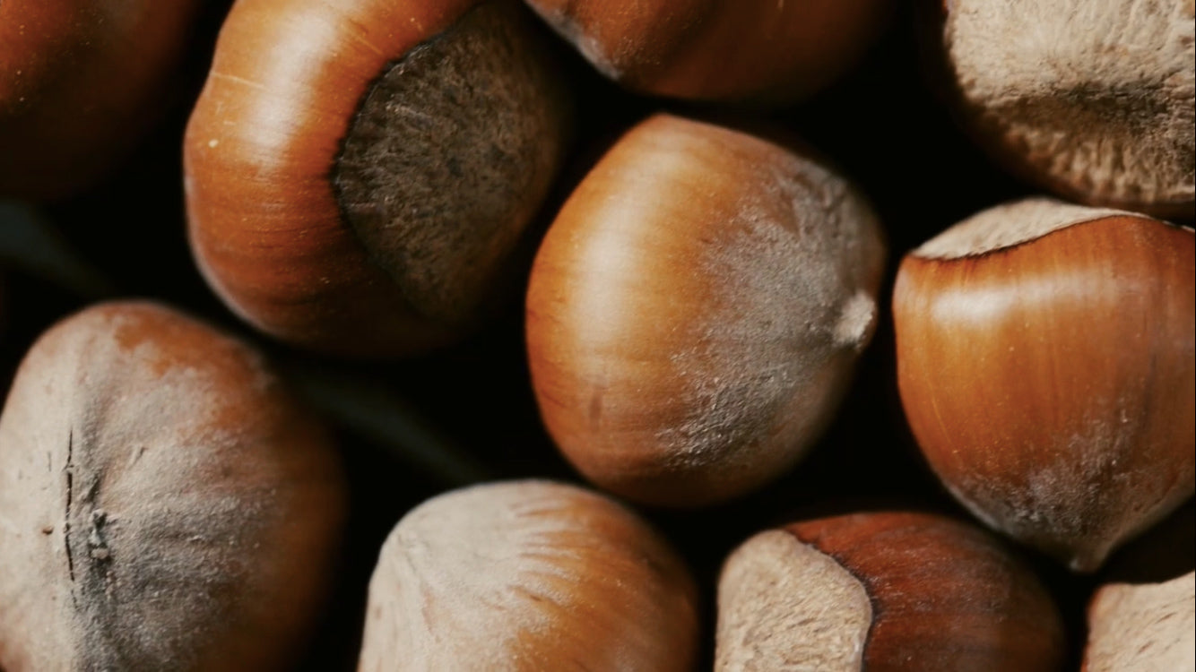 Carica il video: 