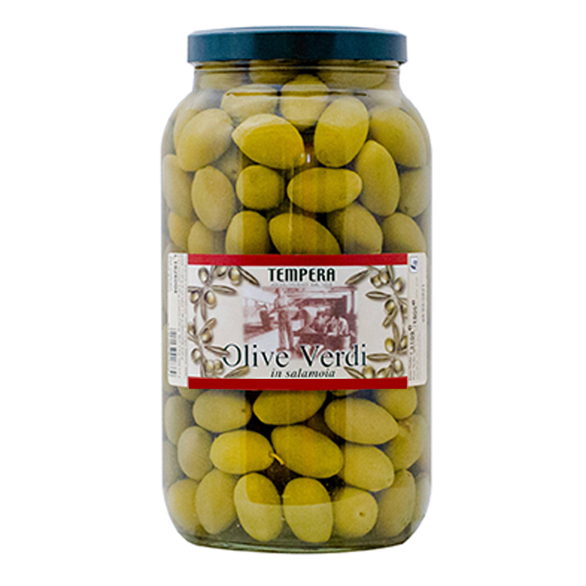Olive grandi Bella di Cerignola L 3,1 - Tempera