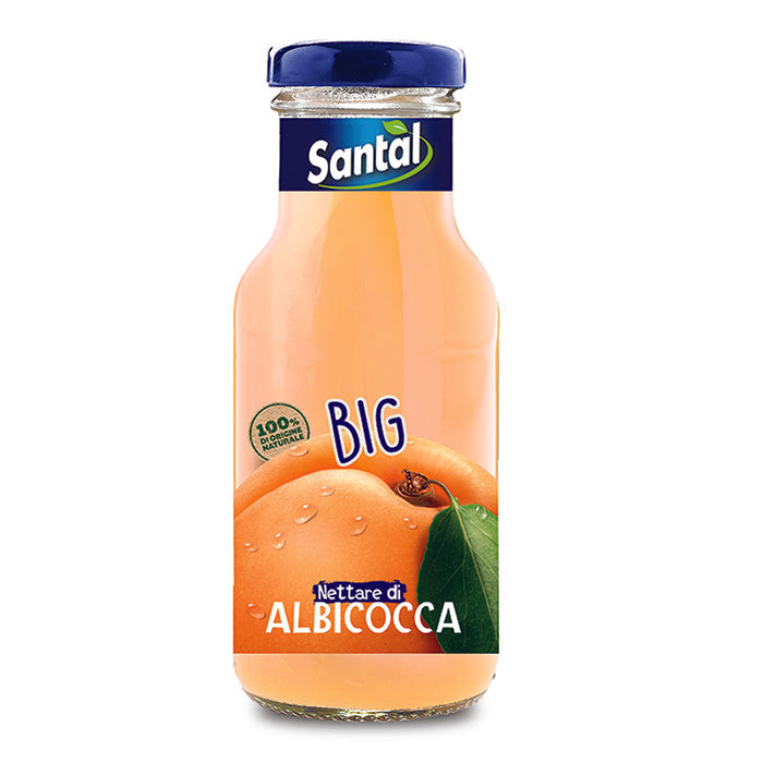 Santal Big Albicocca Parmalat 250ml 24pz